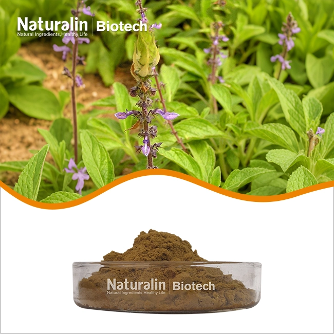 Coleus Forskolin Extract